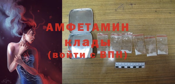 амф Вяземский
