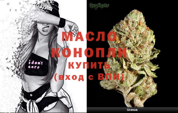 амф Вяземский