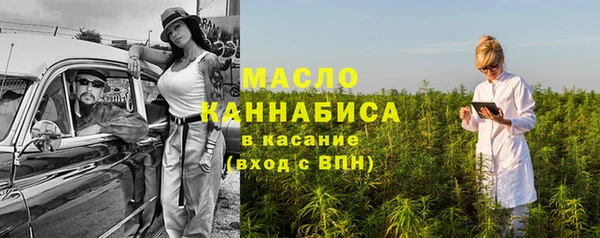 амф Вяземский