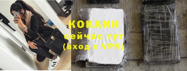 амф Вяземский