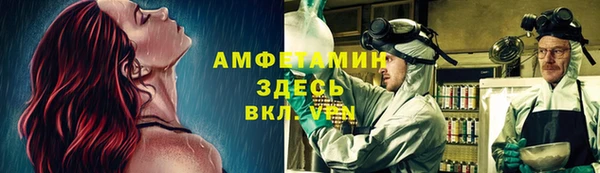амф Вяземский